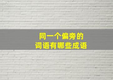 同一个偏旁的词语有哪些成语