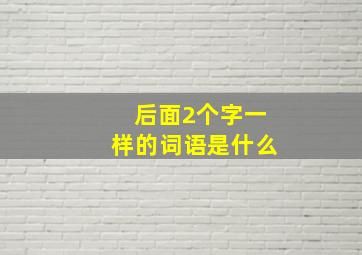 后面2个字一样的词语是什么