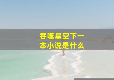 吞噬星空下一本小说是什么