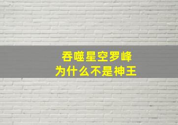 吞噬星空罗峰为什么不是神王