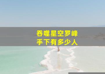 吞噬星空罗峰手下有多少人