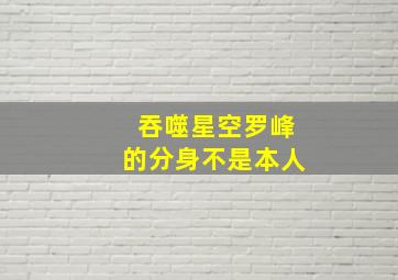 吞噬星空罗峰的分身不是本人