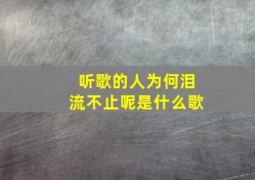 听歌的人为何泪流不止呢是什么歌