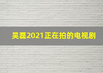 吴磊2021正在拍的电视剧