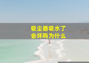 吸尘器吸水了会坏吗为什么