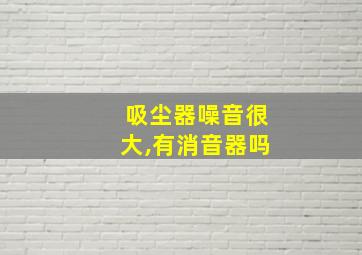 吸尘器噪音很大,有消音器吗