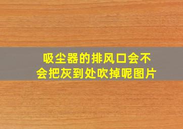 吸尘器的排风口会不会把灰到处吹掉呢图片