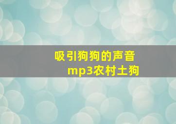 吸引狗狗的声音mp3农村土狗