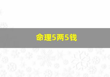 命理5两5钱