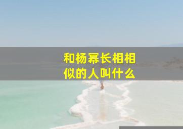 和杨幂长相相似的人叫什么