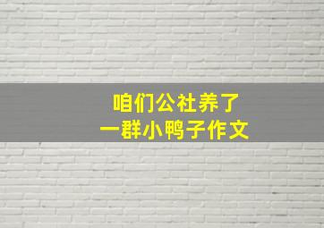 咱们公社养了一群小鸭子作文