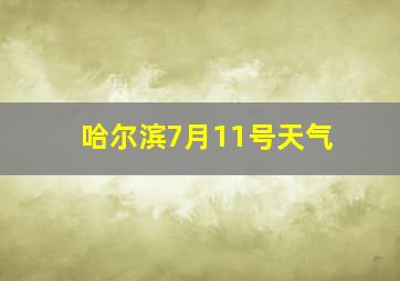 哈尔滨7月11号天气