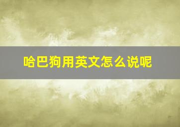 哈巴狗用英文怎么说呢