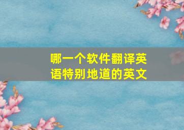 哪一个软件翻译英语特别地道的英文