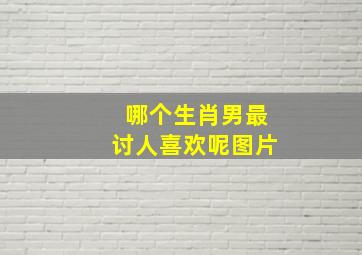 哪个生肖男最讨人喜欢呢图片