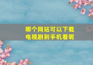 哪个网站可以下载电视剧到手机看呢