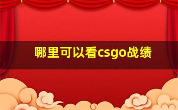 哪里可以看csgo战绩