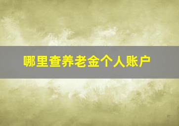 哪里查养老金个人账户