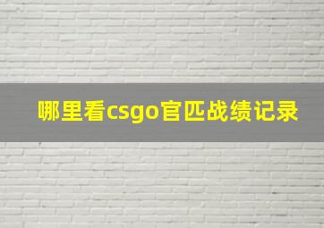 哪里看csgo官匹战绩记录