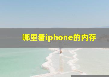 哪里看iphone的内存