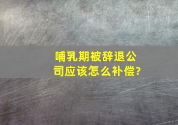 哺乳期被辞退公司应该怎么补偿?