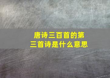 唐诗三百首的第三首诗是什么意思