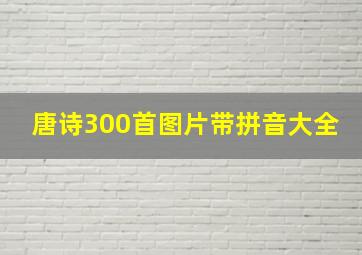 唐诗300首图片带拼音大全