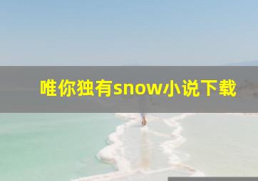 唯你独有snow小说下载