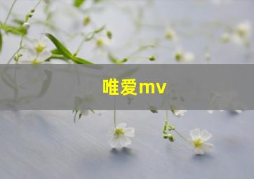 唯爱mv