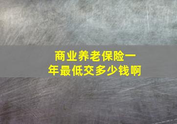 商业养老保险一年最低交多少钱啊