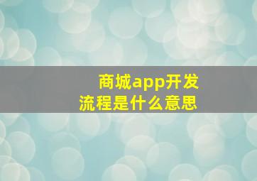 商城app开发流程是什么意思