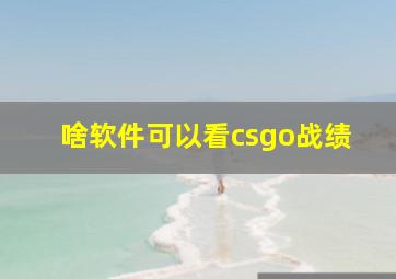 啥软件可以看csgo战绩