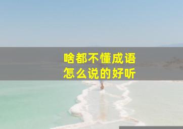 啥都不懂成语怎么说的好听