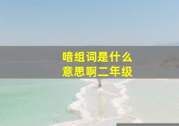 喑组词是什么意思啊二年级