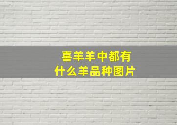 喜羊羊中都有什么羊品种图片