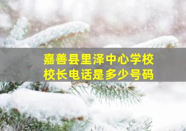 嘉善县里泽中心学校校长电话是多少号码