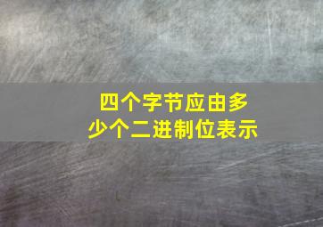 四个字节应由多少个二进制位表示