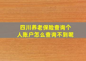 四川养老保险查询个人账户怎么查询不到呢