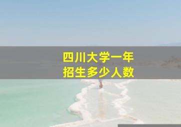 四川大学一年招生多少人数