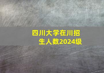 四川大学在川招生人数2024级