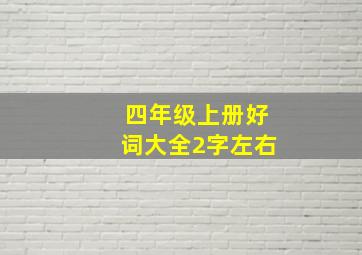 四年级上册好词大全2字左右