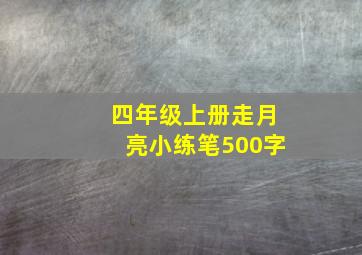 四年级上册走月亮小练笔500字