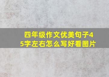 四年级作文优美句子45字左右怎么写好看图片