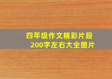 四年级作文精彩片段200字左右大全图片