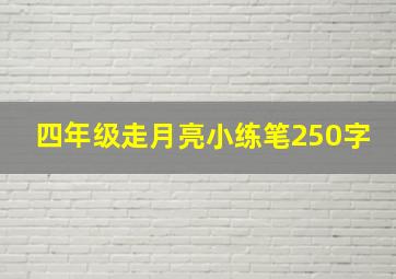 四年级走月亮小练笔250字