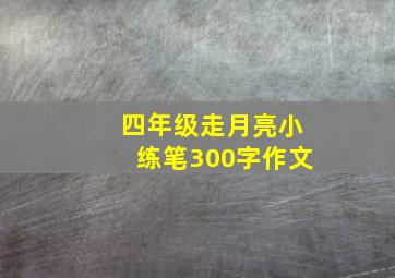 四年级走月亮小练笔300字作文