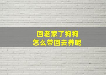 回老家了狗狗怎么带回去养呢