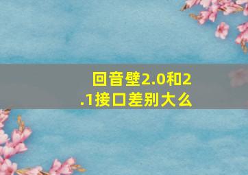 回音壁2.0和2.1接口差别大么