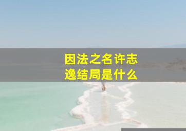 因法之名许志逸结局是什么