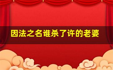 因法之名谁杀了许的老婆